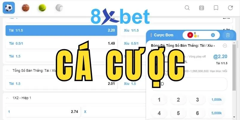 Cá cược là gì? Các hình thức cá cược trực tuyến phổ biến Cá cược là gì?