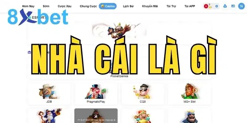 Nhà cái là gì? Thông tin chi tiết về giải trí trực tuyến Nhà cái là gì?